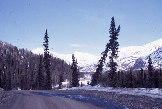 Dempster Highway,  May 1969.