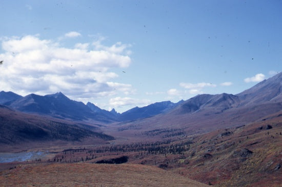 North Fork Pass,  September 1968.