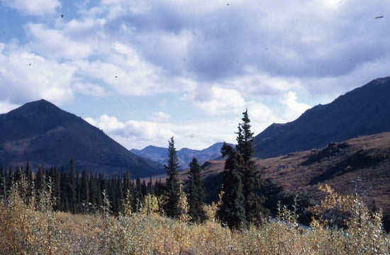 View from the Dempster Highway,  September 1968.