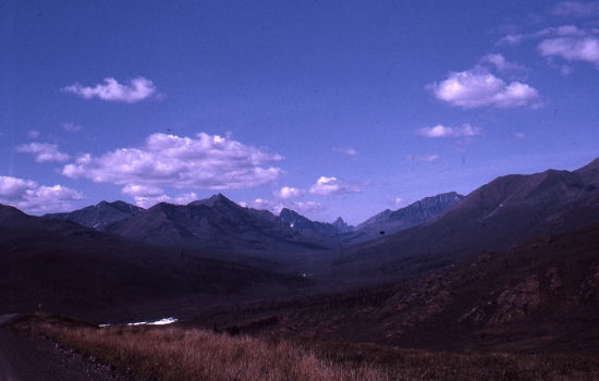 View from Dempster Road, July 29, 1974.