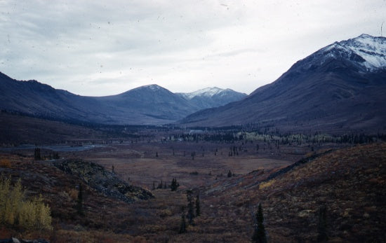 Klondike River, September 1961.