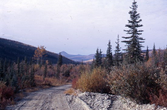 Haystack Mountain, Indian River, September 1969.