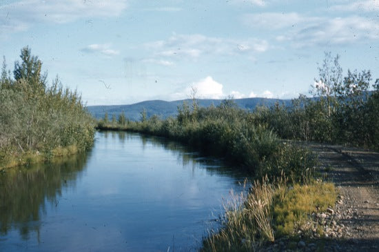 North Fork Ditch, July 1958.