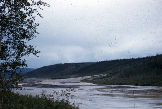 Tailings from Paradise Hill, September 1955.
